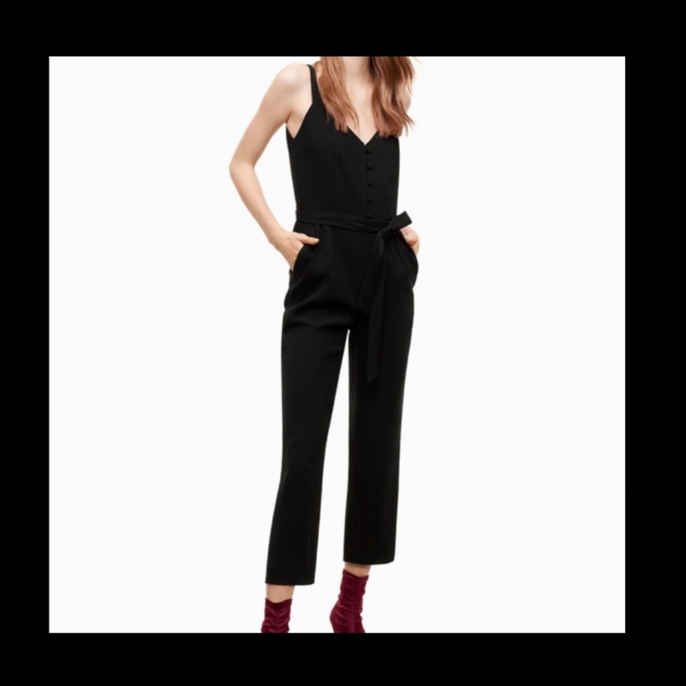 Aritizia Jumpsuit Little Moon Petunia